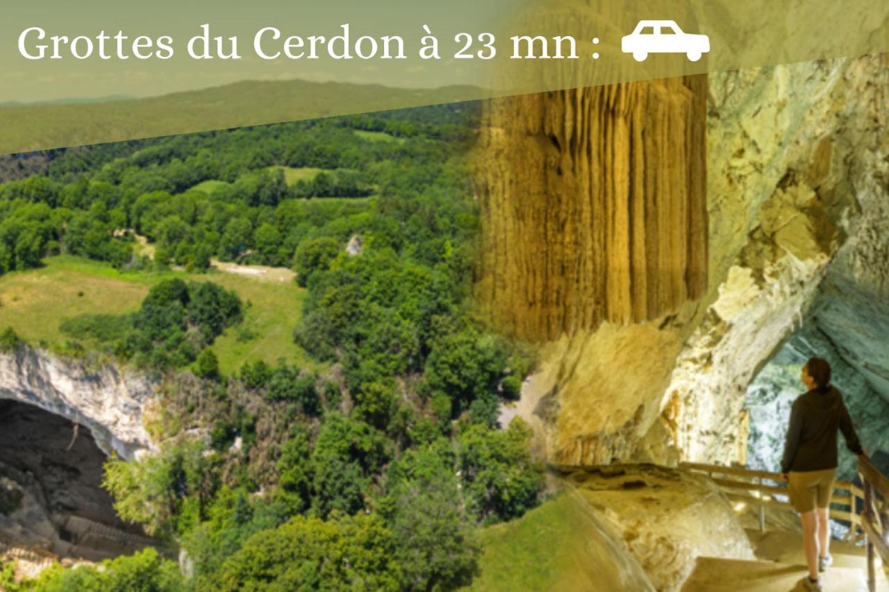 L'Emeraude - 1 A 4P - Wifi Fibre - Parking Gratuit Pont-dʼAin Buitenkant foto