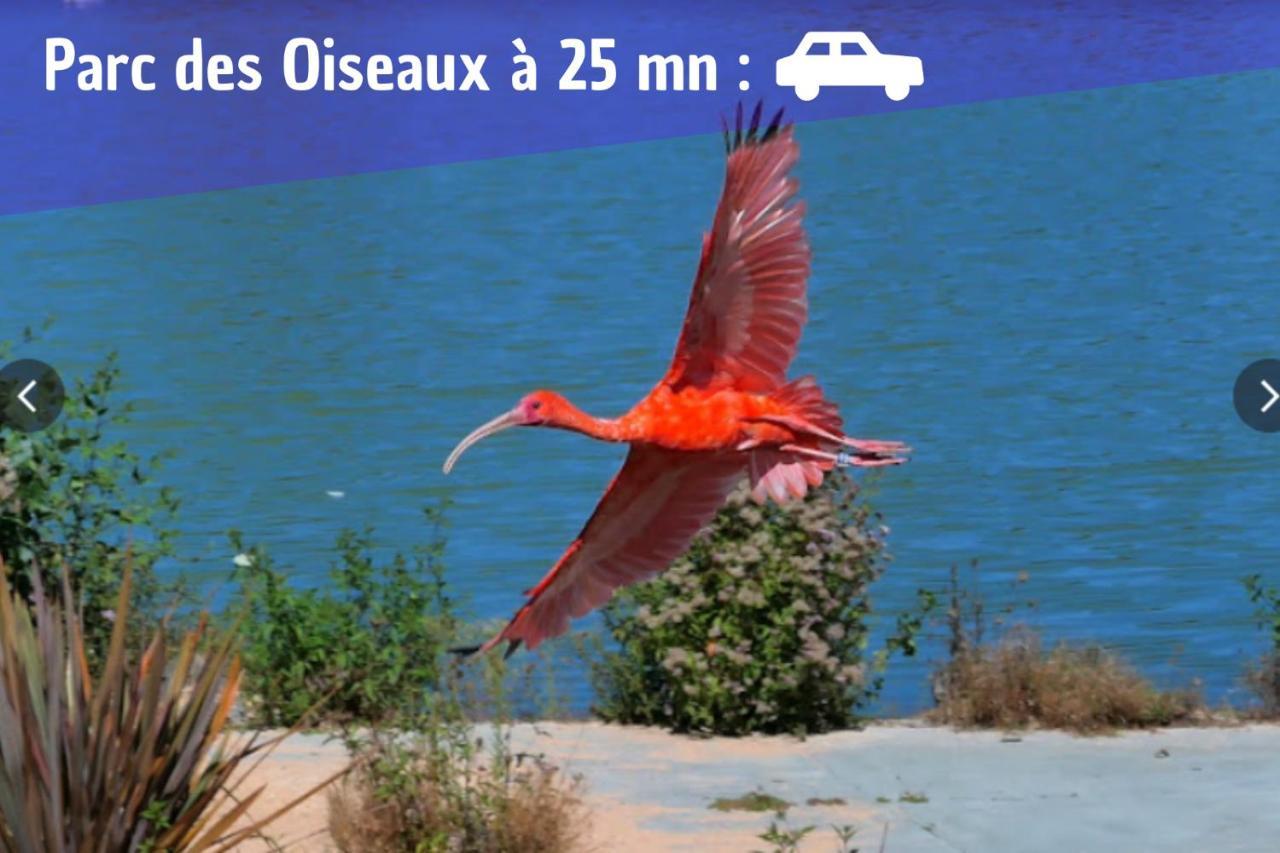 L'Emeraude - 1 A 4P - Wifi Fibre - Parking Gratuit Pont-dʼAin Buitenkant foto