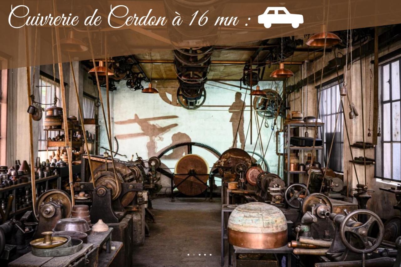 L'Emeraude - 1 A 4P - Wifi Fibre - Parking Gratuit Pont-dʼAin Buitenkant foto
